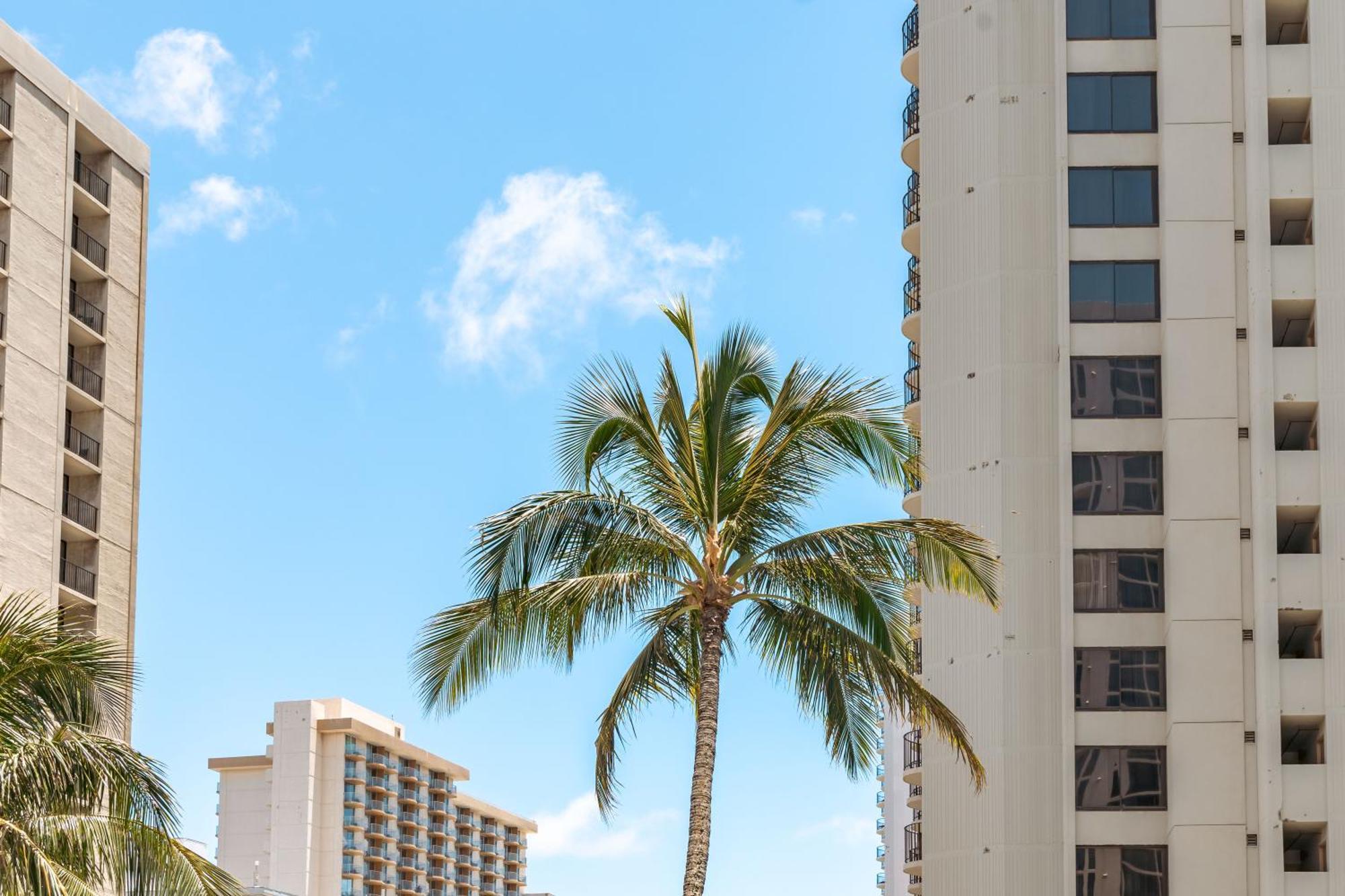 1Br With Great Ocean Views, 1 Block To Waikiki Beach 檀香山 外观 照片